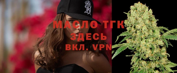 тгк Абаза