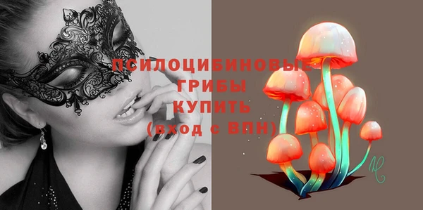 хмурый Алзамай