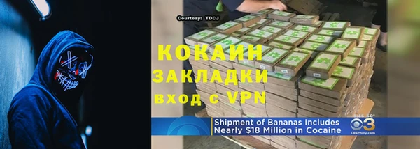 тгк Абаза