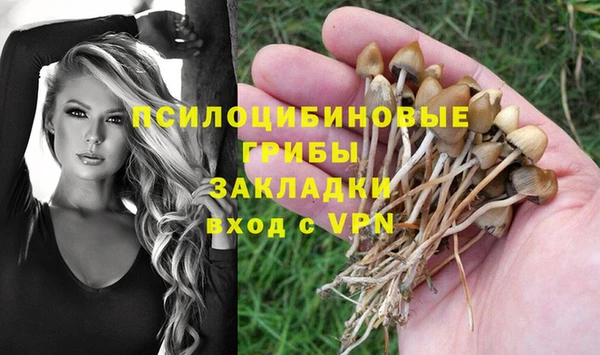 spice Абдулино