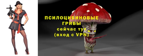 хмурый Алзамай