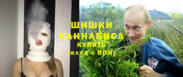 тгк Абаза
