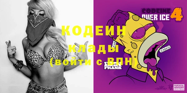 хмурый Алзамай